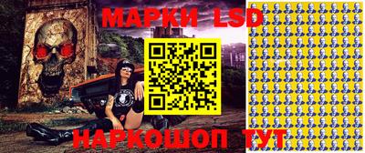 мет Кингисепп