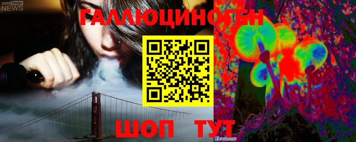 Кстово  Псилоцибиновые грибы Psilocybine cubensis  Вход с VPN 